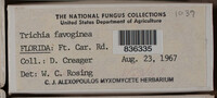 Image Associated With the Occurence